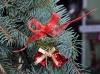 Weihnachtsdekoration bei draussen-leben in Greiz-Thalbach