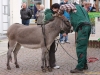 20.Thüringer Landeserntedankfest