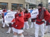 Rosenmontagsumzug in Greiz 2013