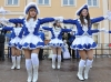 Rosenmontagsumzug in Greiz 2013