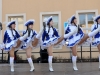 18. Rosenmontagsumzug in Greiz