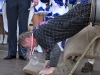 18. Rosenmontagsumzug in Greiz