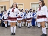 18. Rosenmontagsumzug in Greiz
