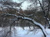 Impressionen aus dem Greizer Park 