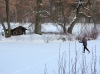 Impressionen aus dem Greizer Park 