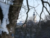 Impressionen aus dem Greizer Park 