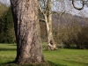 Impressionen aus dem Greizer Park 