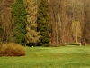 Impressionen aus dem Greizer Park 