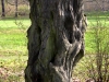 Impressionen aus dem Greizer Park 