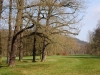 Impressionen aus dem Greizer Park 