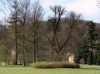 Impressionen aus dem Greizer Park 