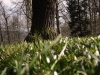 Impressionen aus dem Greizer Park 