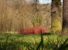 Impressionen aus dem Greizer Park 