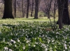 Impressionen aus dem Greizer Park 