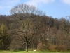 Impressionen aus dem Greizer Park 