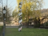 Impressionen aus dem Greizer Park 