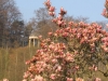 Impressionen aus dem Greizer Park 