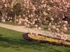 Impressionen aus dem Greizer Park 