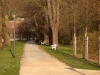 Impressionen aus dem Greizer Park 