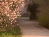 Impressionen aus dem Greizer Park 
