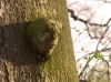 Impressionen aus dem Greizer Park 