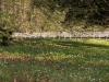 Impressionen aus dem Greizer Park 