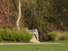 Impressionen aus dem Greizer Park 