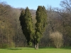 Impressionen aus dem Greizer Park 