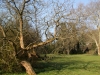 Impressionen aus dem Greizer Park 