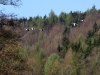 Impressionen aus dem Greizer Park 