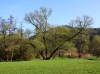 Impressionen aus dem Greizer Park 
