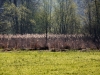 Impressionen aus dem Greizer Park 
