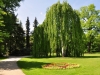 1.Greizer Parkfrühling