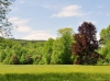 1.Greizer Parkfrühling