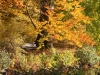 Herbst im Greizer Landschaftspark