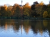 Herbst im Greizer Landschaftspark