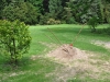 Arbeiten im Greizer Park gehen voran