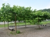 FÃ¶rderverein der Pohlitzer Regelschule übergibt Spende an Greizer Park