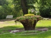 Arbeiten im Greizer Park gehen voran