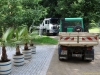 Arbeiten im Greizer Park gehen voran