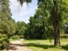 Arbeiten im Greizer Park gehen voran