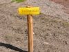 Arbeiten im Greizer Park gehen voran