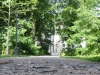Arbeiten im Greizer Park gehen voran