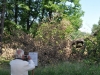ErÃ¶ffnung des Schadensparcours im Fürstlich Greizer Park