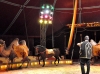 Zirkus Aeros gastiert in Greiz