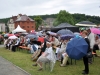 Park- und Schlossfest in Greiz Park- und Schlossfest in Greiz