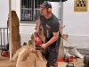 Park- und Schlossfest in Greiz Park- und Schlossfest in Greiz