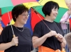 Park- und Schlossfest in Greiz