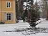 Winterzauber im Greizer Sommerpalais