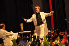 31.12.2012 - Silvesterkonzert der Vogtland Philharmonie Greiz / Reichenbach in der Greizer Vogtlandhalle